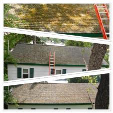 Moss Removal from Roof in Sage Lake, MI 0